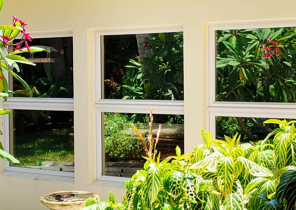 Architectural Window Tint