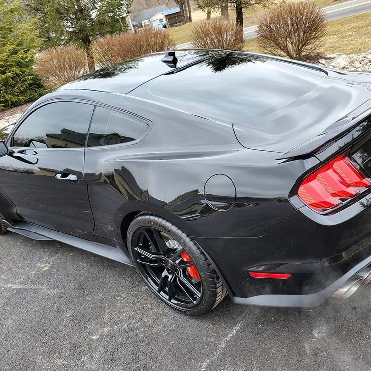 Terraflex Sample Roll - Flexfilm